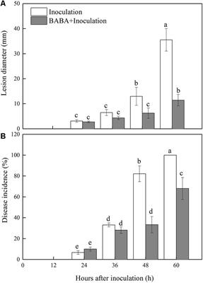 Effect of β-Aminobutyric Acid on Disease Resistance Against Rhizopus Rot in Harvested Peaches